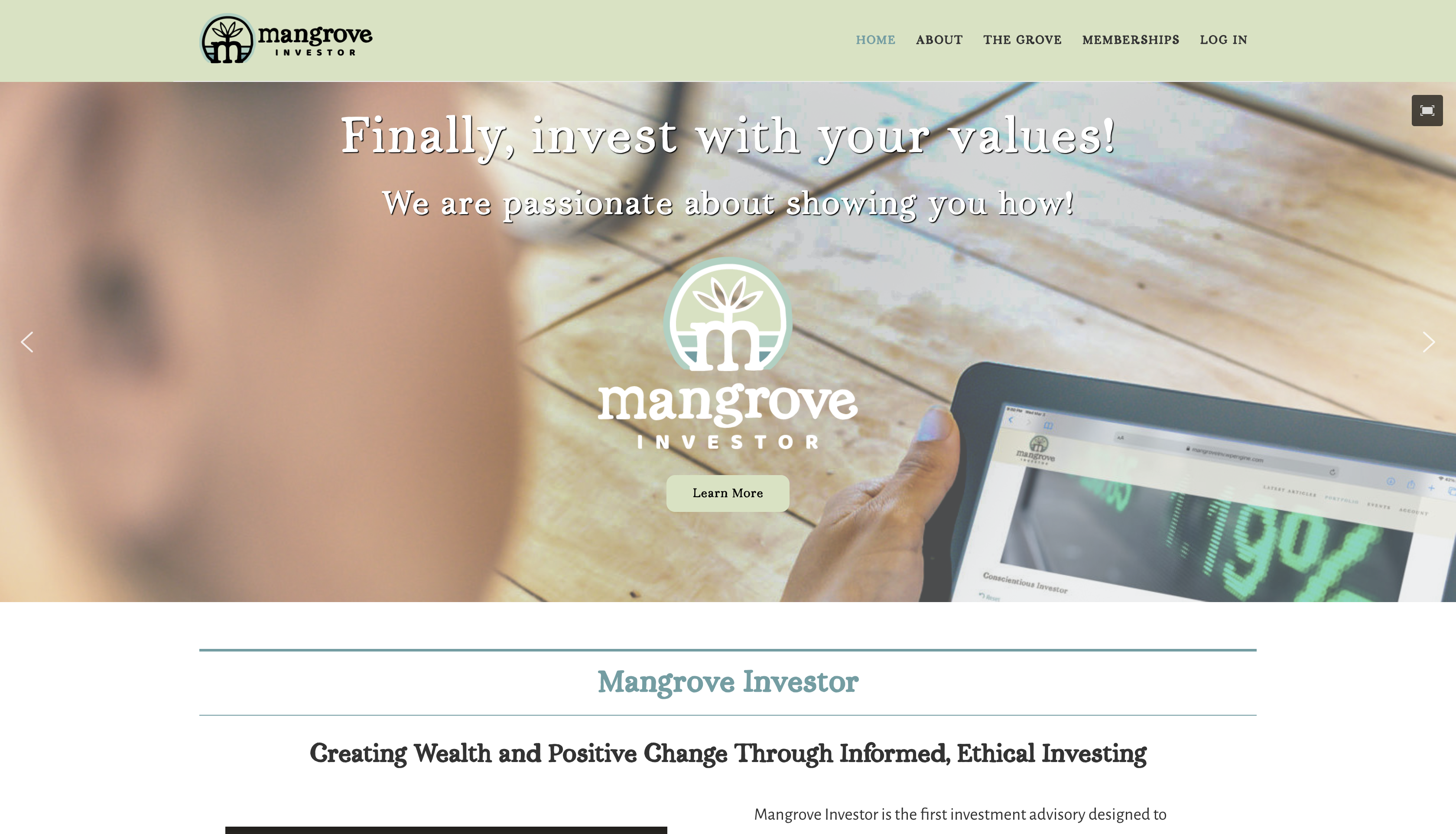 Mangrove Investor